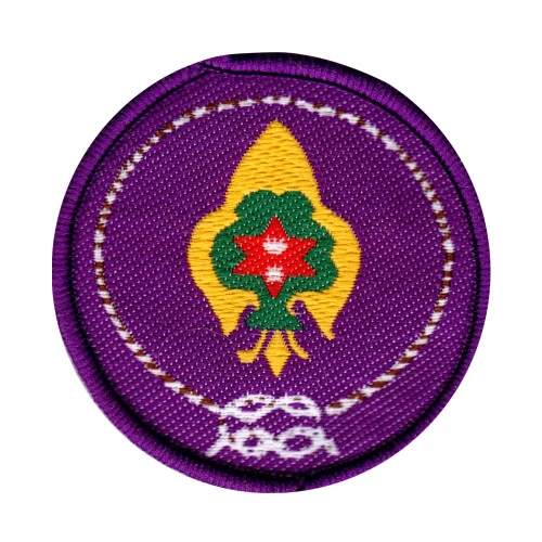district-commissar-badges-dcb50