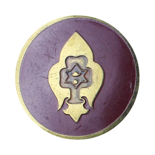 rover-leader-cap-badgerlcb139